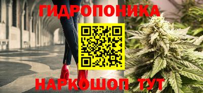 mdpv Рыбинск