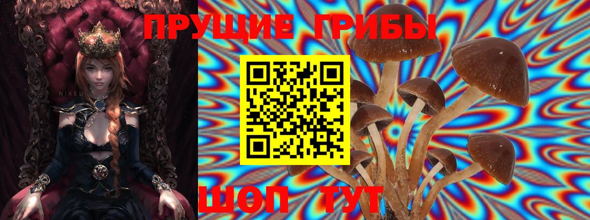 Псилоцибиновые грибы GOLDEN TEACHER  Вход с VPN  Полысаево  Галлюциногенные грибы мухоморы 